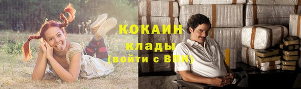 ГАЛЛЮЦИНОГЕННЫЕ ГРИБЫ Беломорск