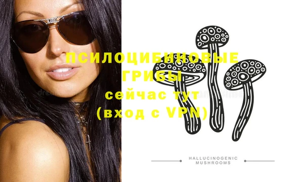 ГАЛЛЮЦИНОГЕННЫЕ ГРИБЫ Беломорск