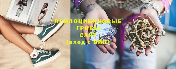 МДПВ Белокуриха