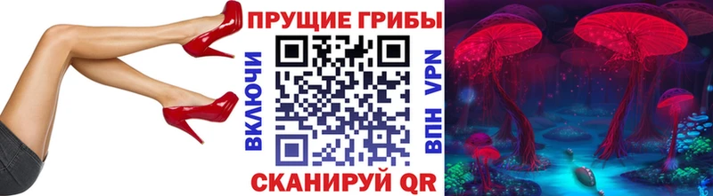 Псилоцибиновые грибы GOLDEN TEACHER  дарнет шоп  Горняк 